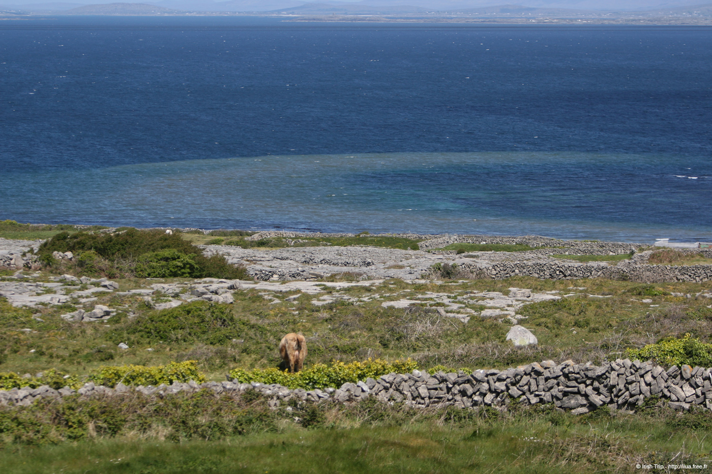 20120508_aranportoghill3