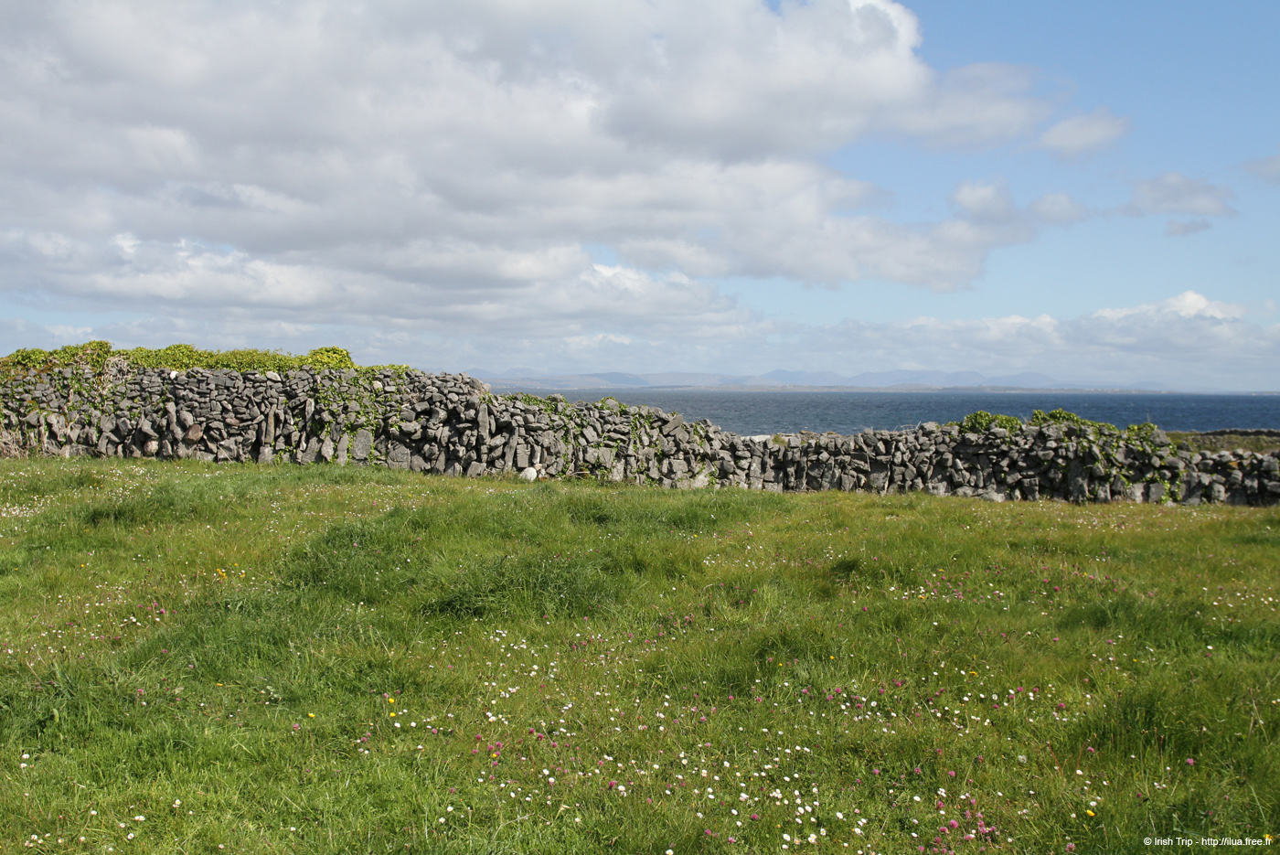 20120508_aranportoghillfield1