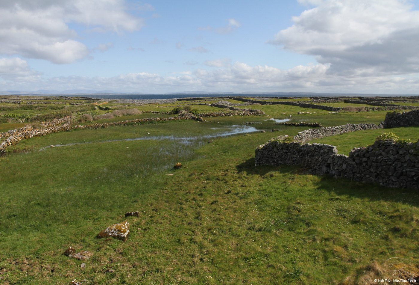 20120508_aranportoghillfield2