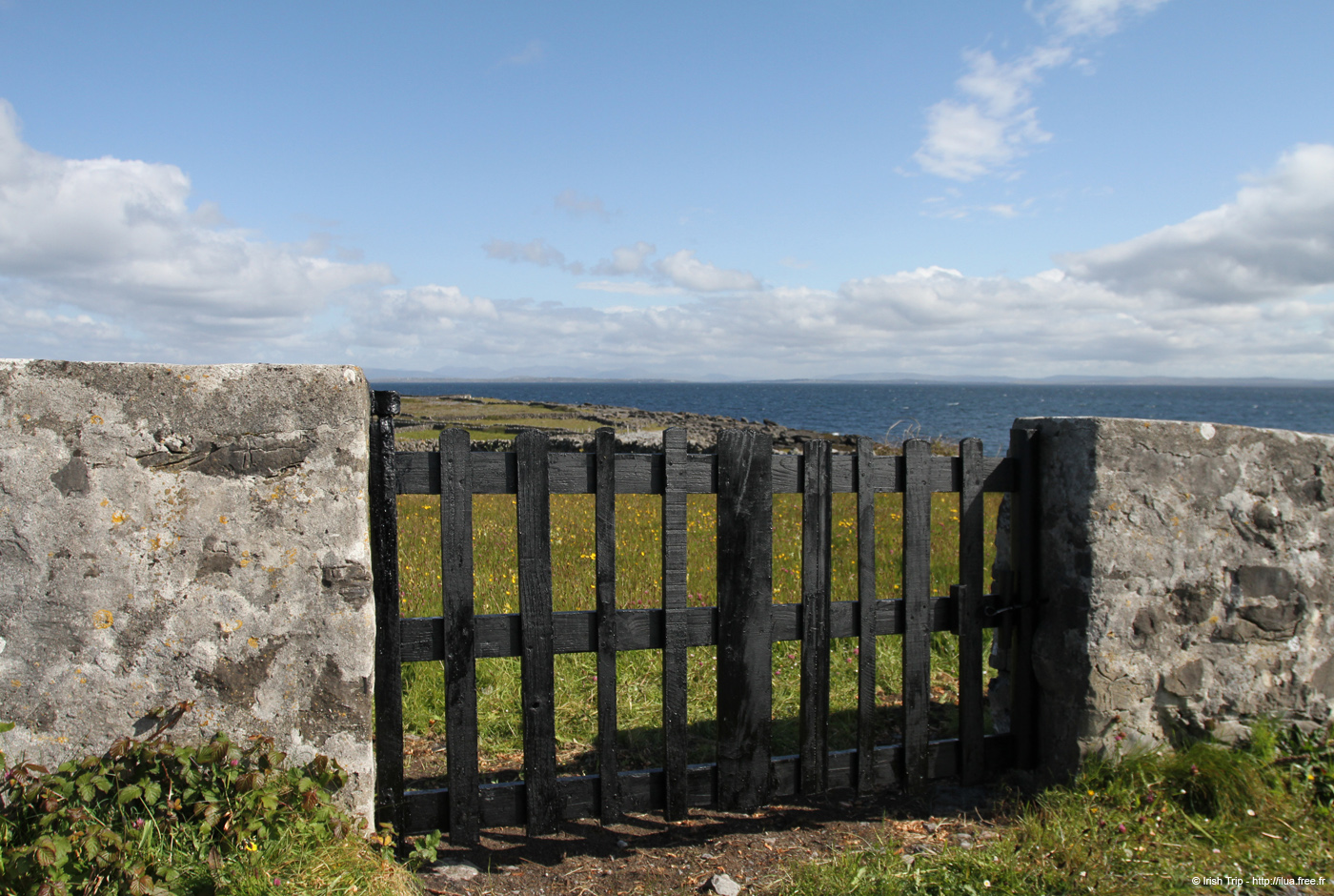 20120508_aranportoghillgate1