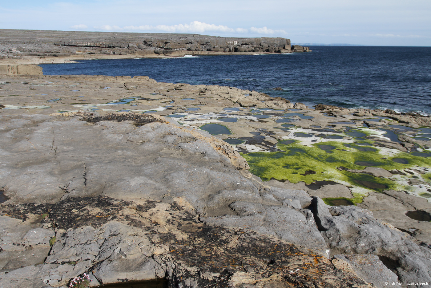 20120508_aranportveeladonebay06