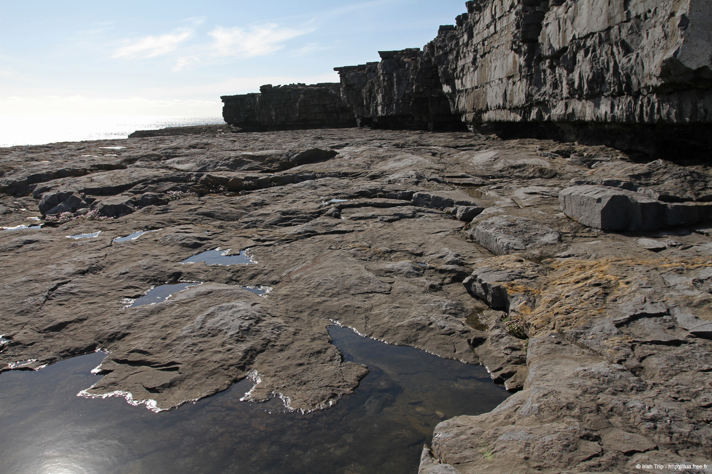 20120508_aranportveeladonehead1