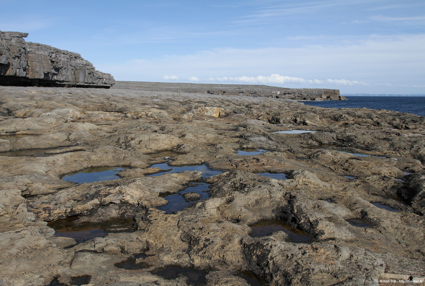 20120508_aranportveeladonehead3