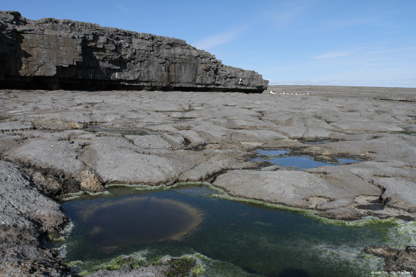 20120508_aranportveeladonehead4