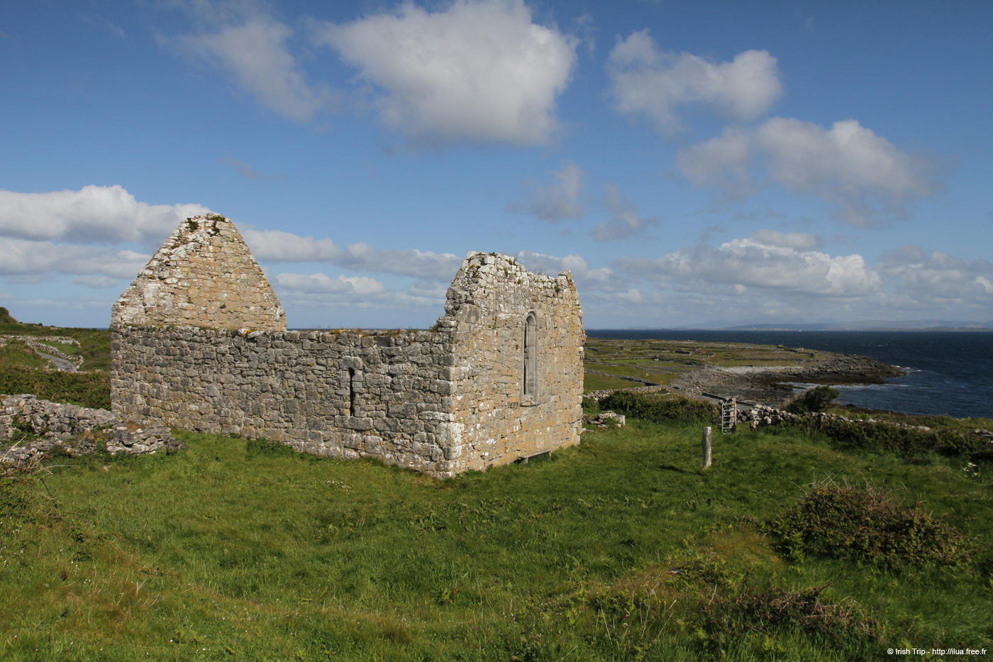 20120508_aranteampallchiarain02