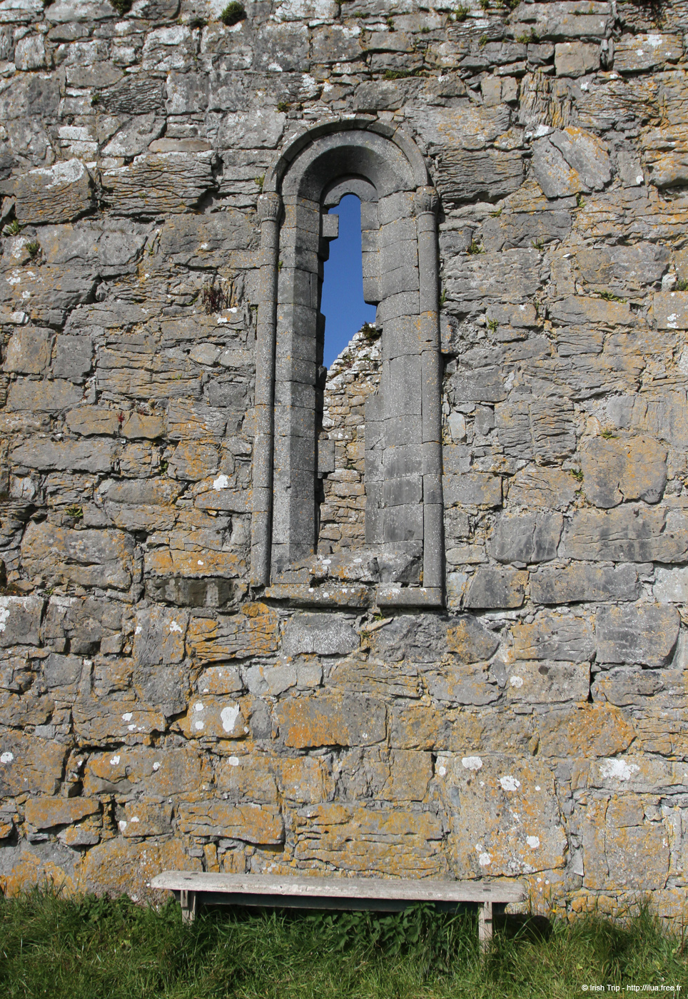 20120508_aranteampallchiarain07