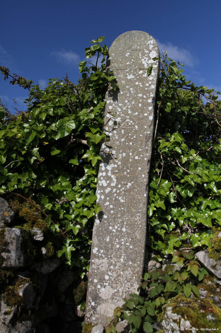 20120508_aranteampallchiarain11