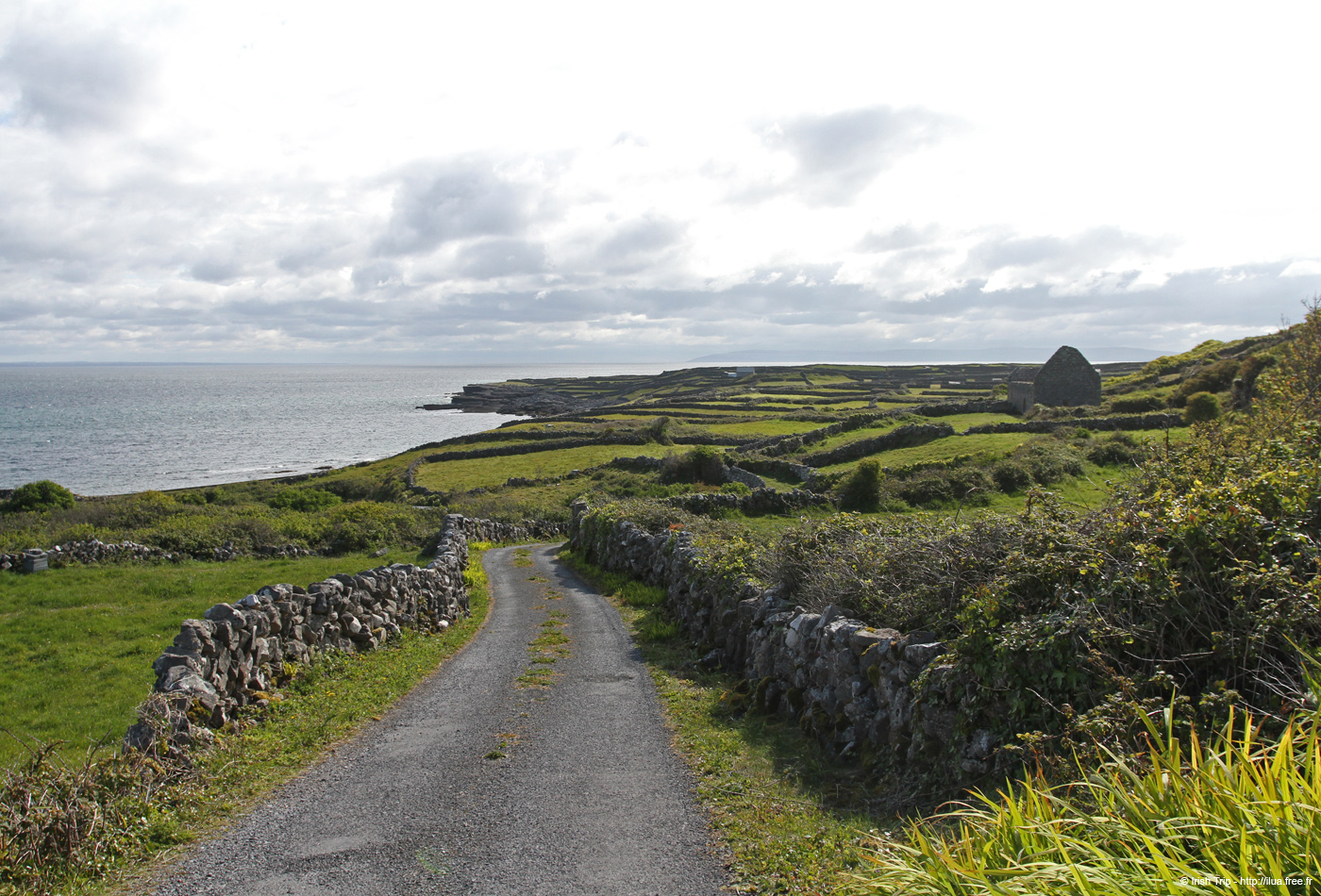 20120508_aranteampallchiarainroad1