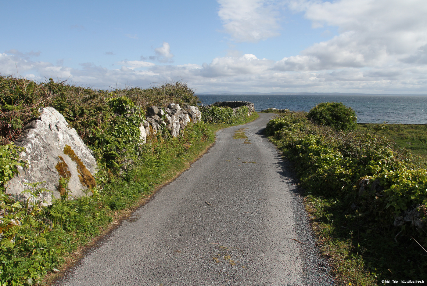 20120508_aranteampallchiarainroad2