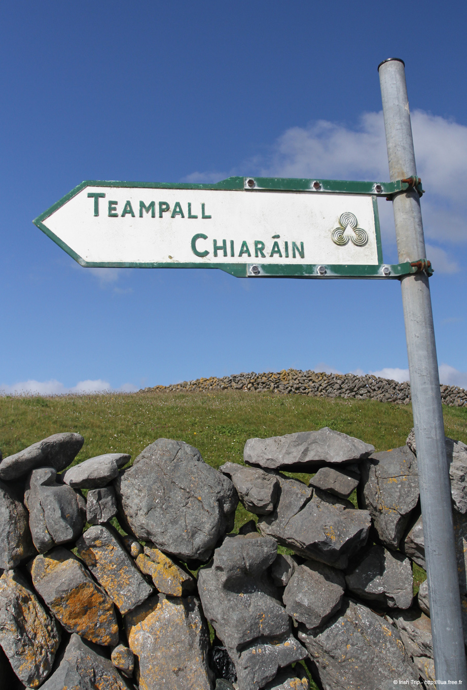 20120508_aranteampallchiarainsign1