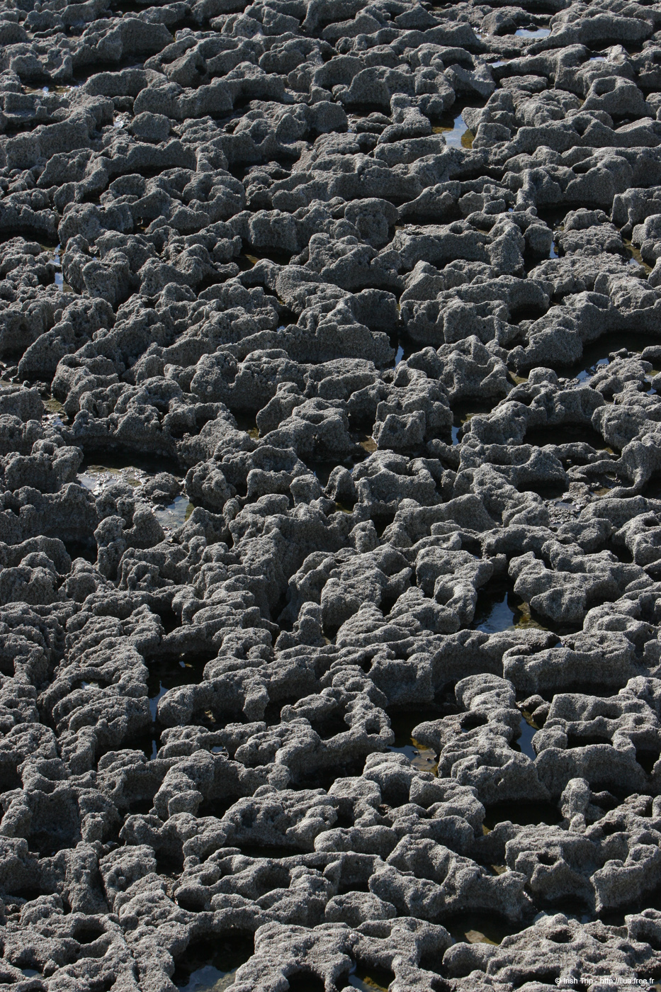 20120508_aranthewormholeground1
