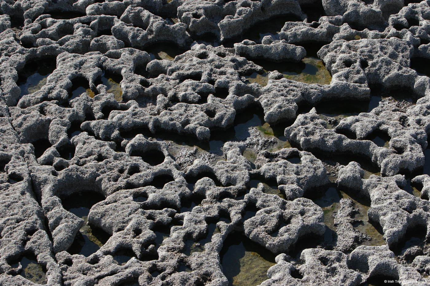 20120508_aranthewormholeground3