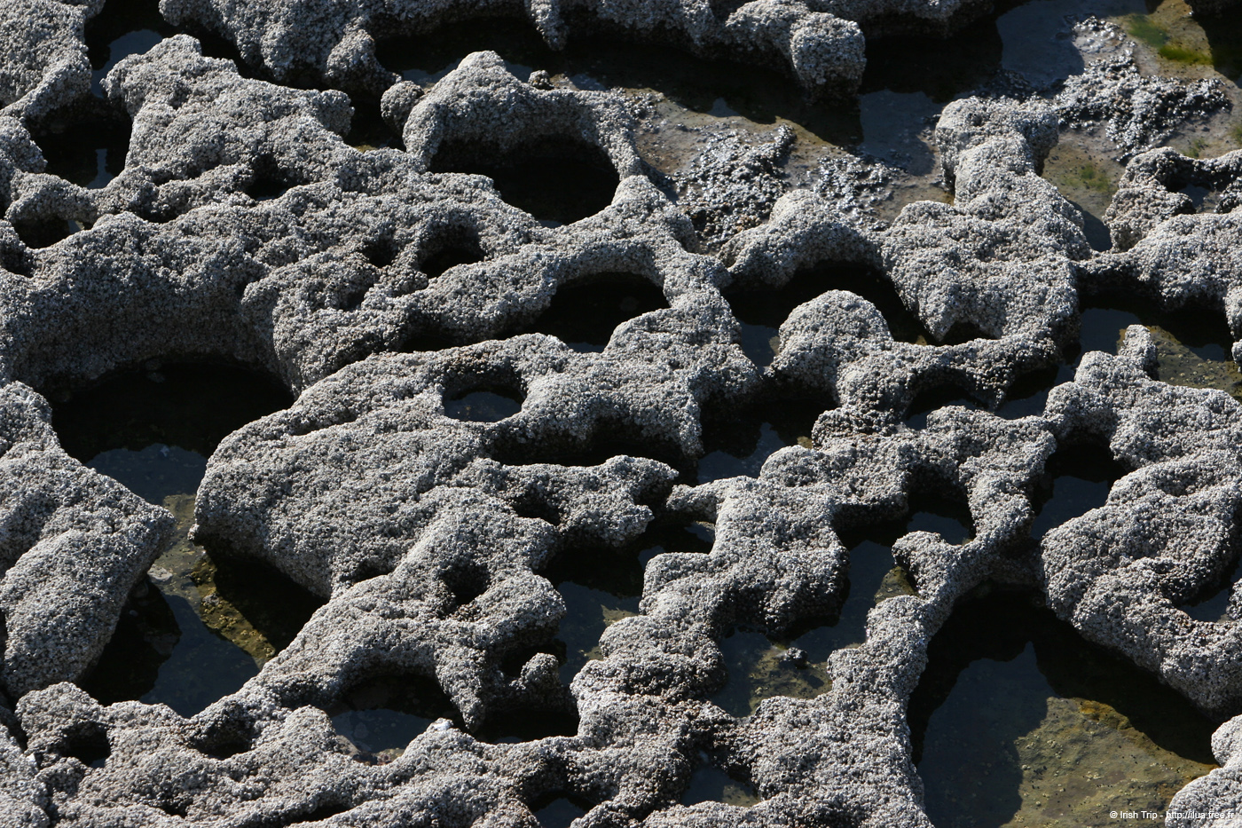 20120508_aranthewormholeground4