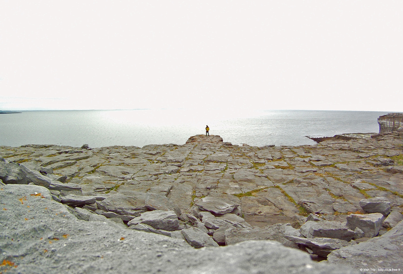 20120509_aranbenaharnaunhead2