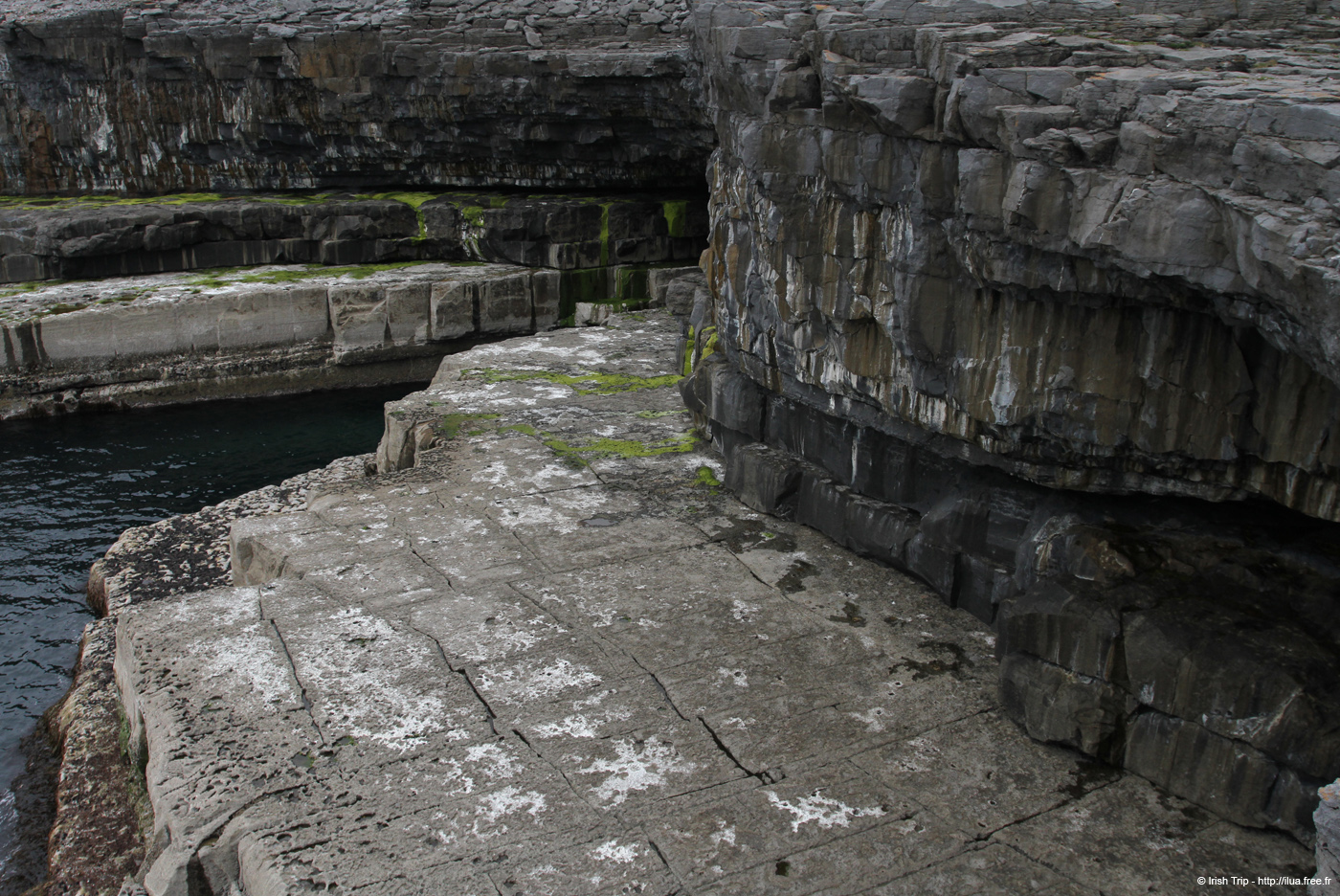 20120509_aranbenaharnaunheadw02