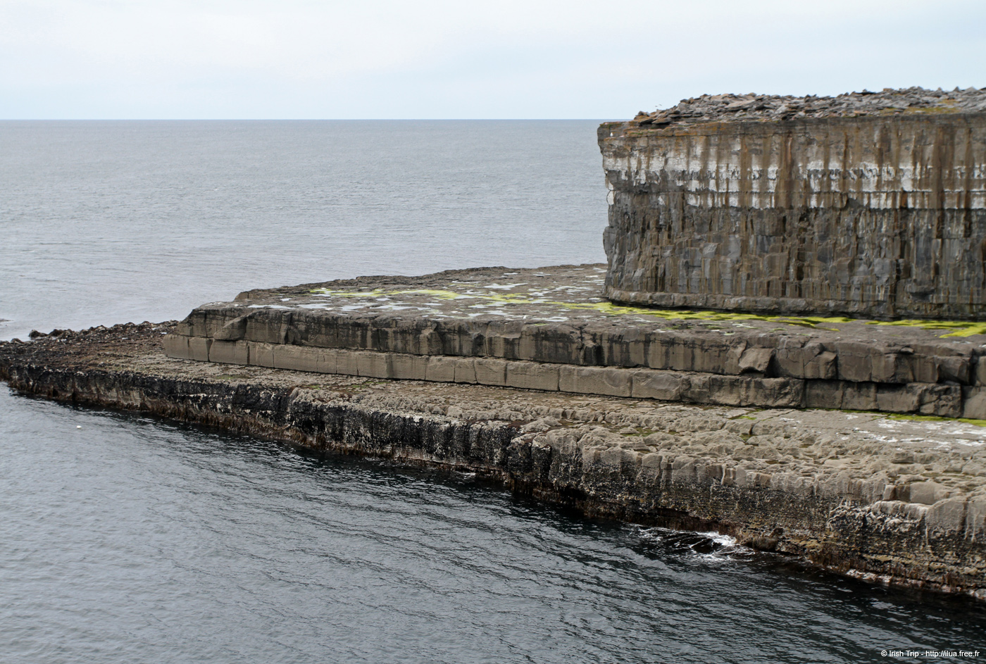 20120509_aranbenaharnaunheadw03