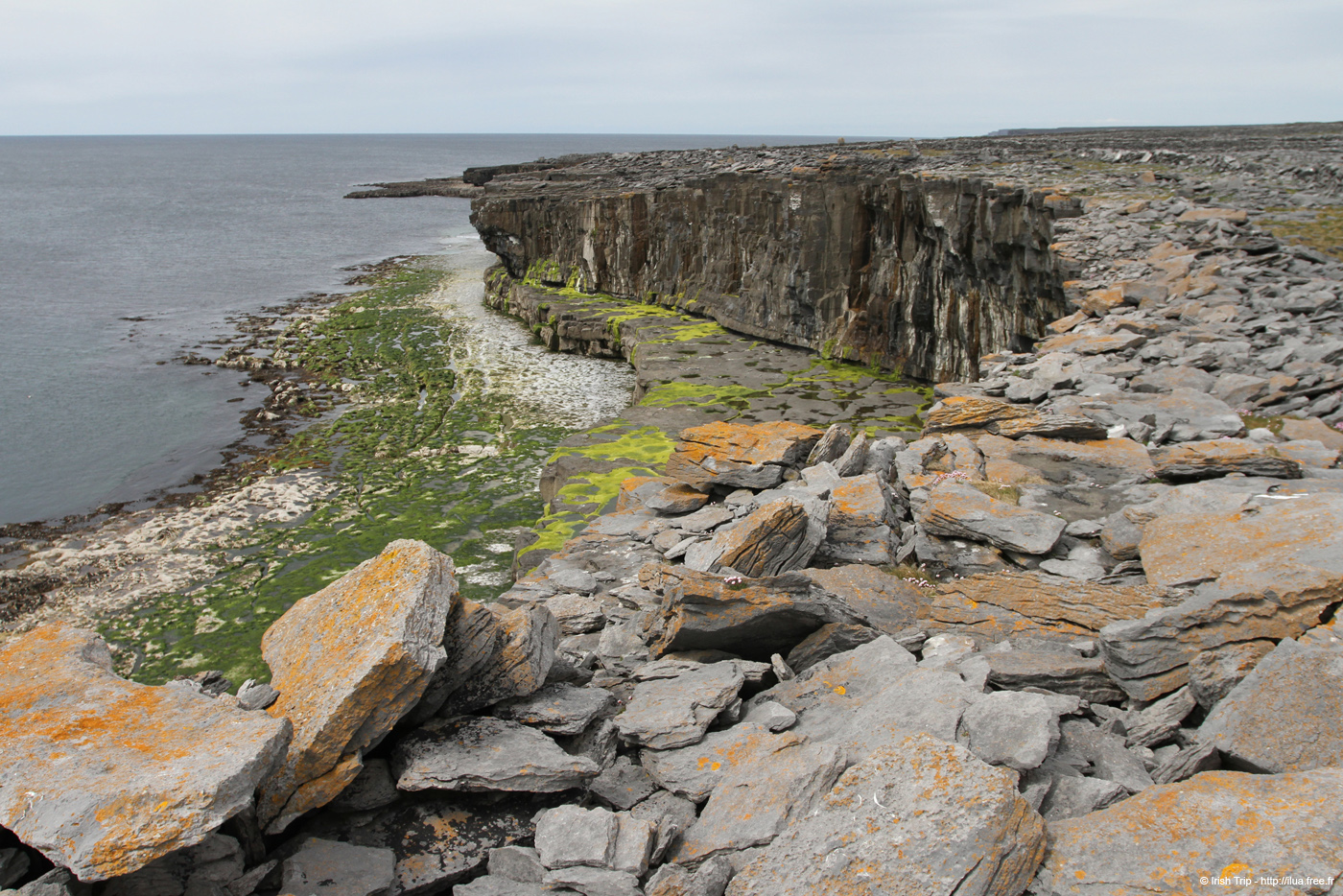 20120509_aranbenaharnaunheadw07