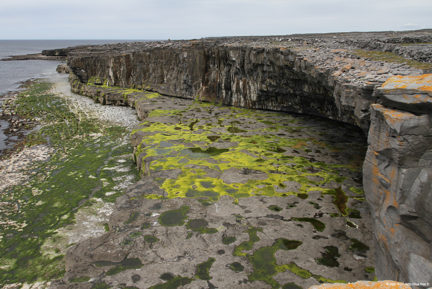 20120509_aranbenaharnaunheadw08