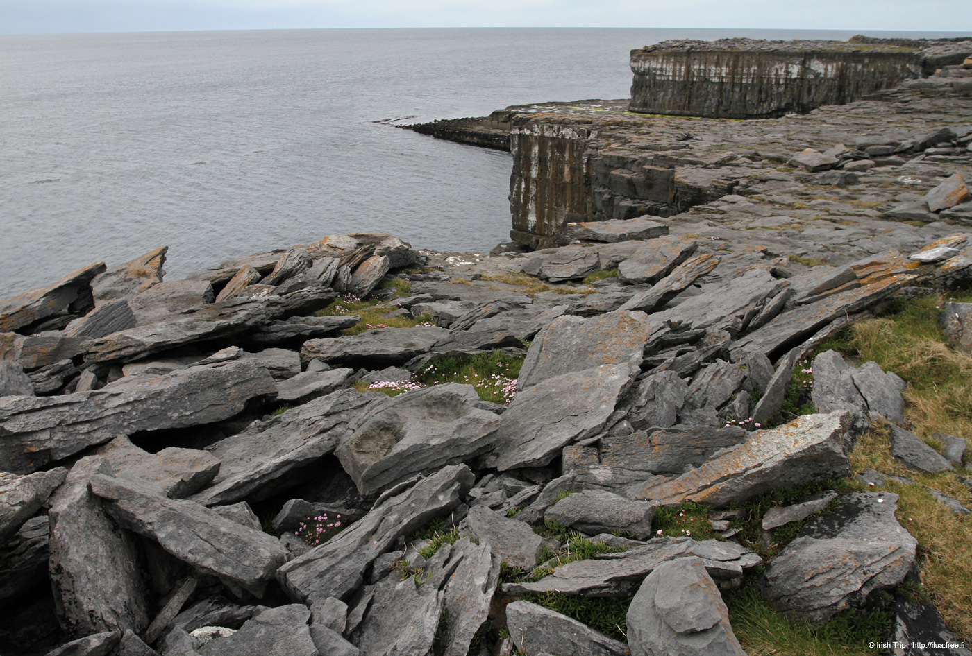 20120509_aranbenaharnaunheadw09