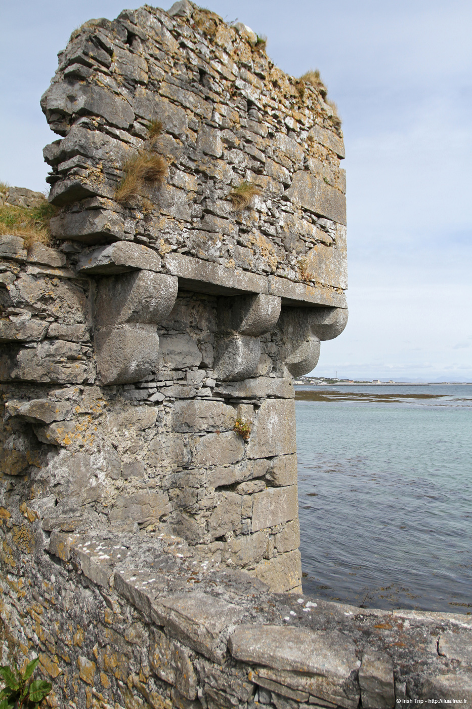 20120509_arankilleanyharborcastle1