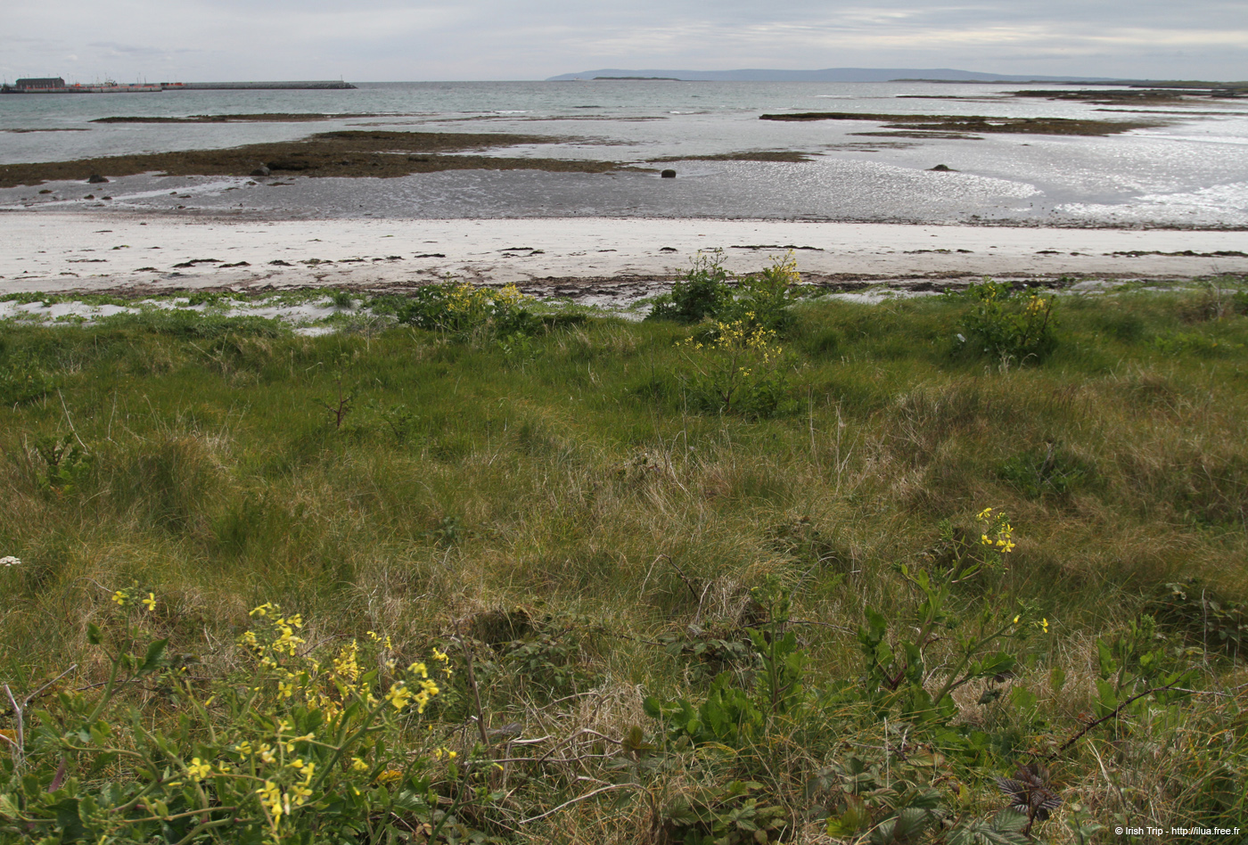 20120509_arankilronanbay3