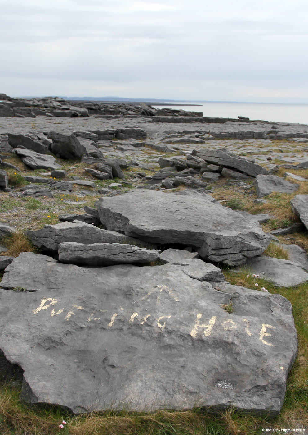20120509_aranpuffingholee01
