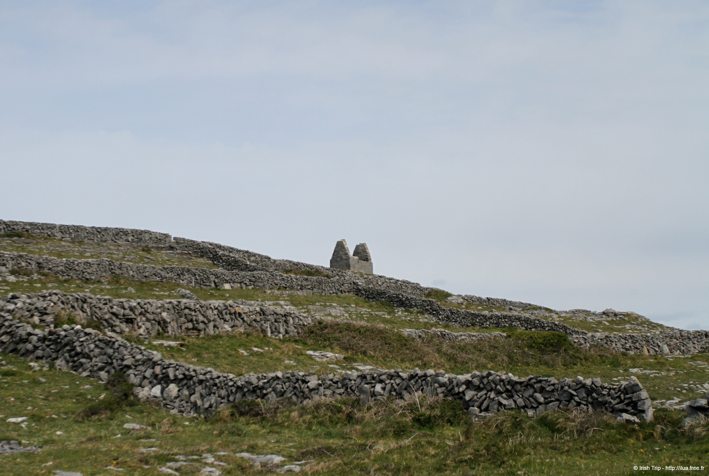 20120509_aranteampallbheanain01