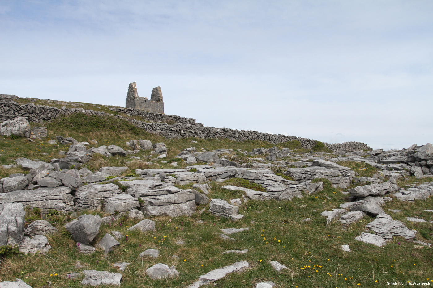 20120509_aranteampallbheanain02