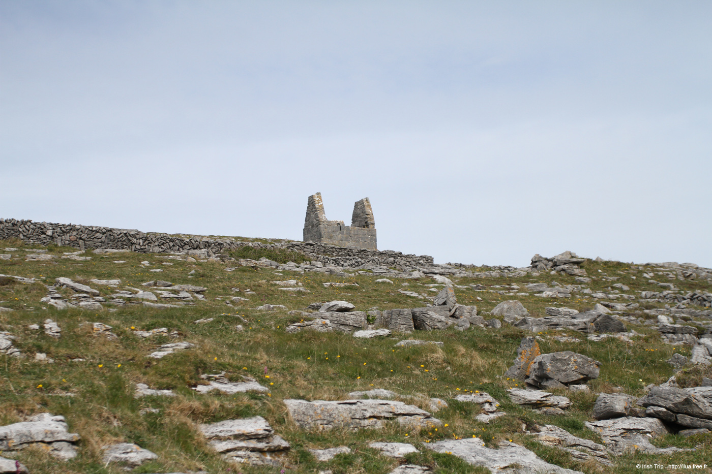 20120509_aranteampallbheanain03