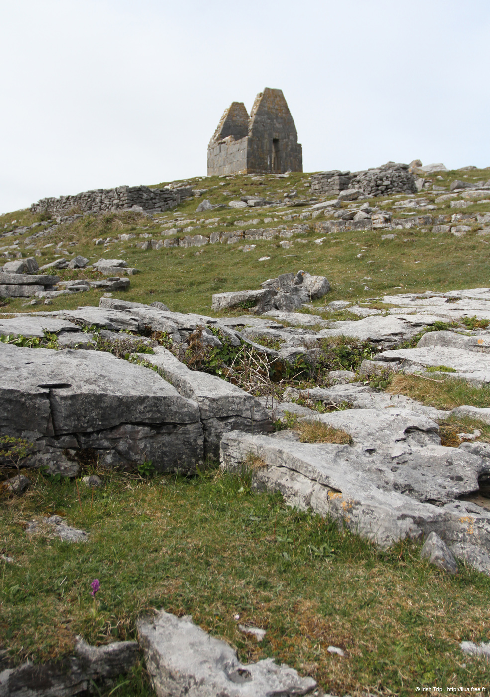 20120509_aranteampallbheanain12