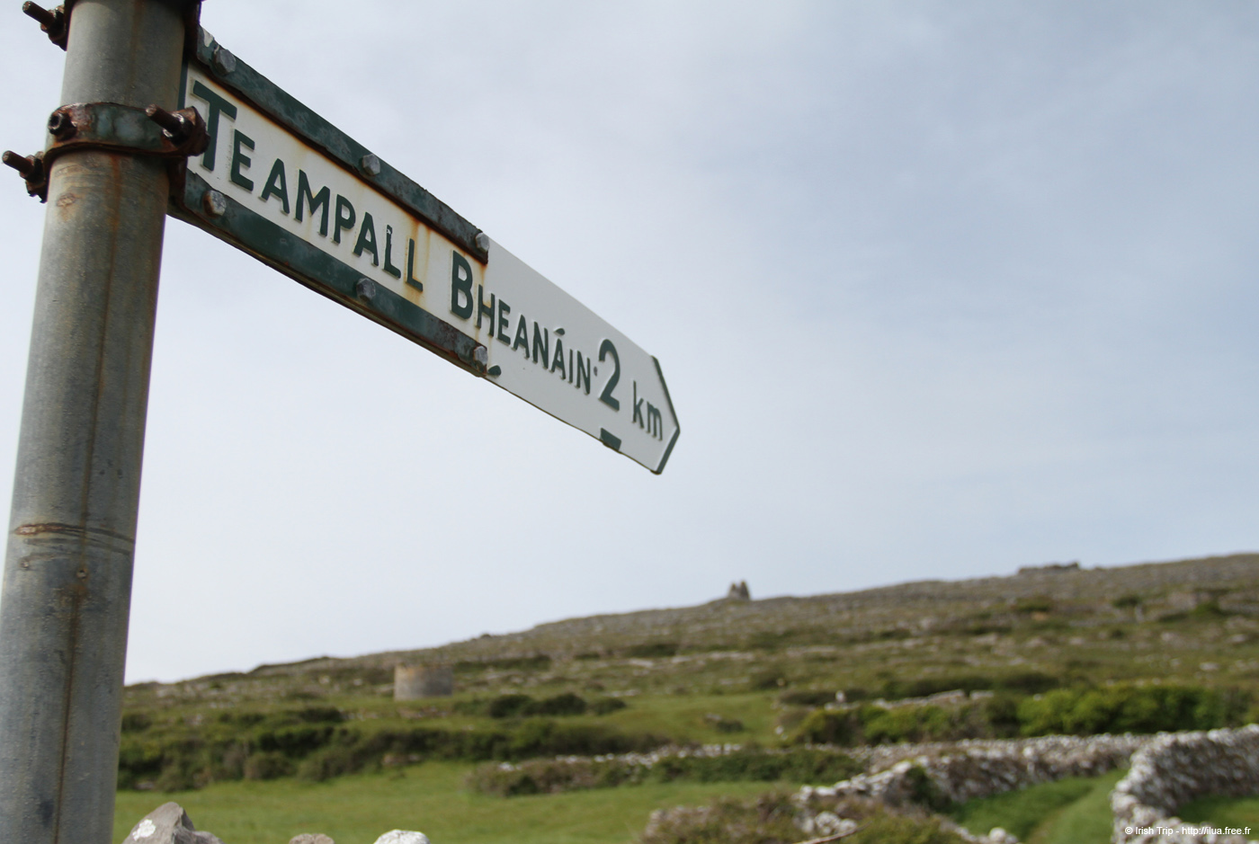 20120509_aranteampallbheanainsign1
