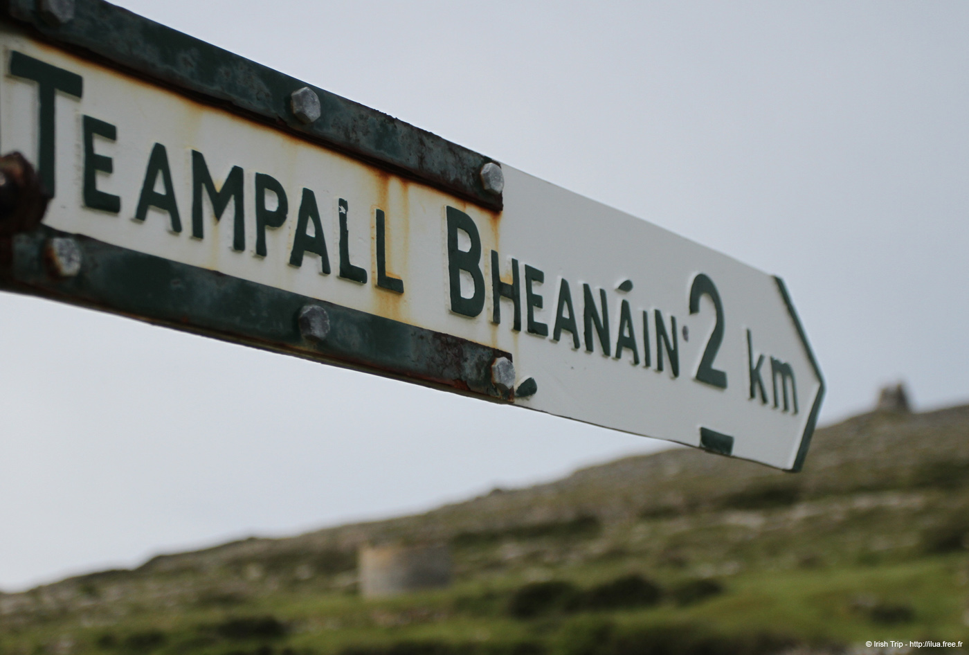 20120509_aranteampallbheanainsign2