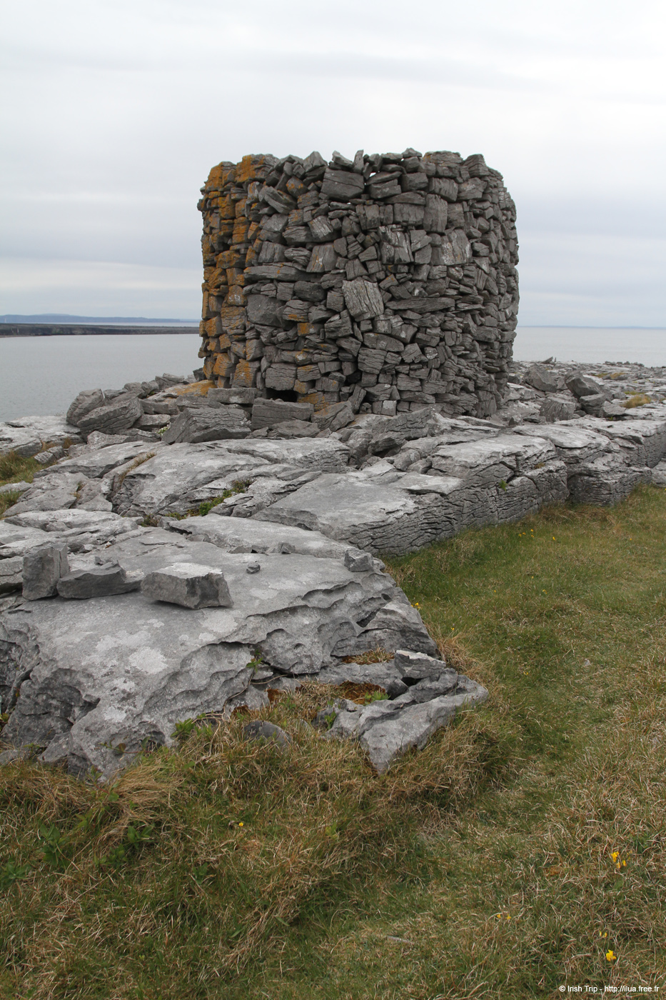 20120509_aranturmairtin01