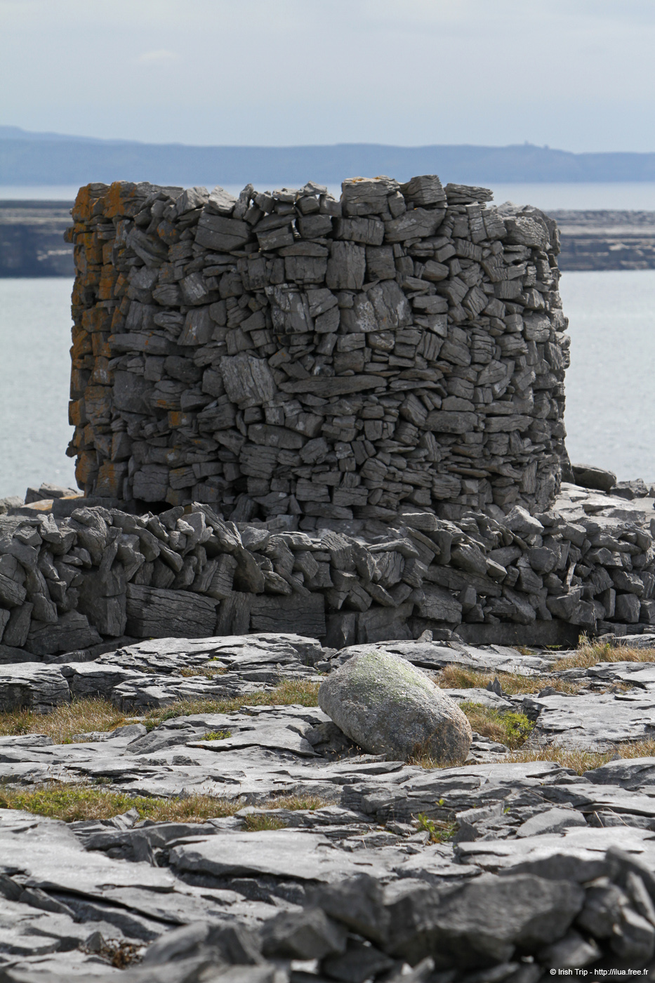20120509_aranturmairtin02
