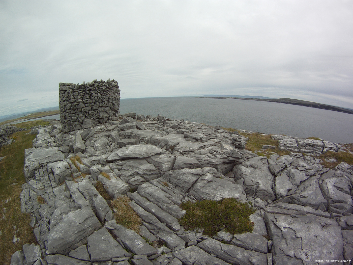 20120509_aranturmairtin03