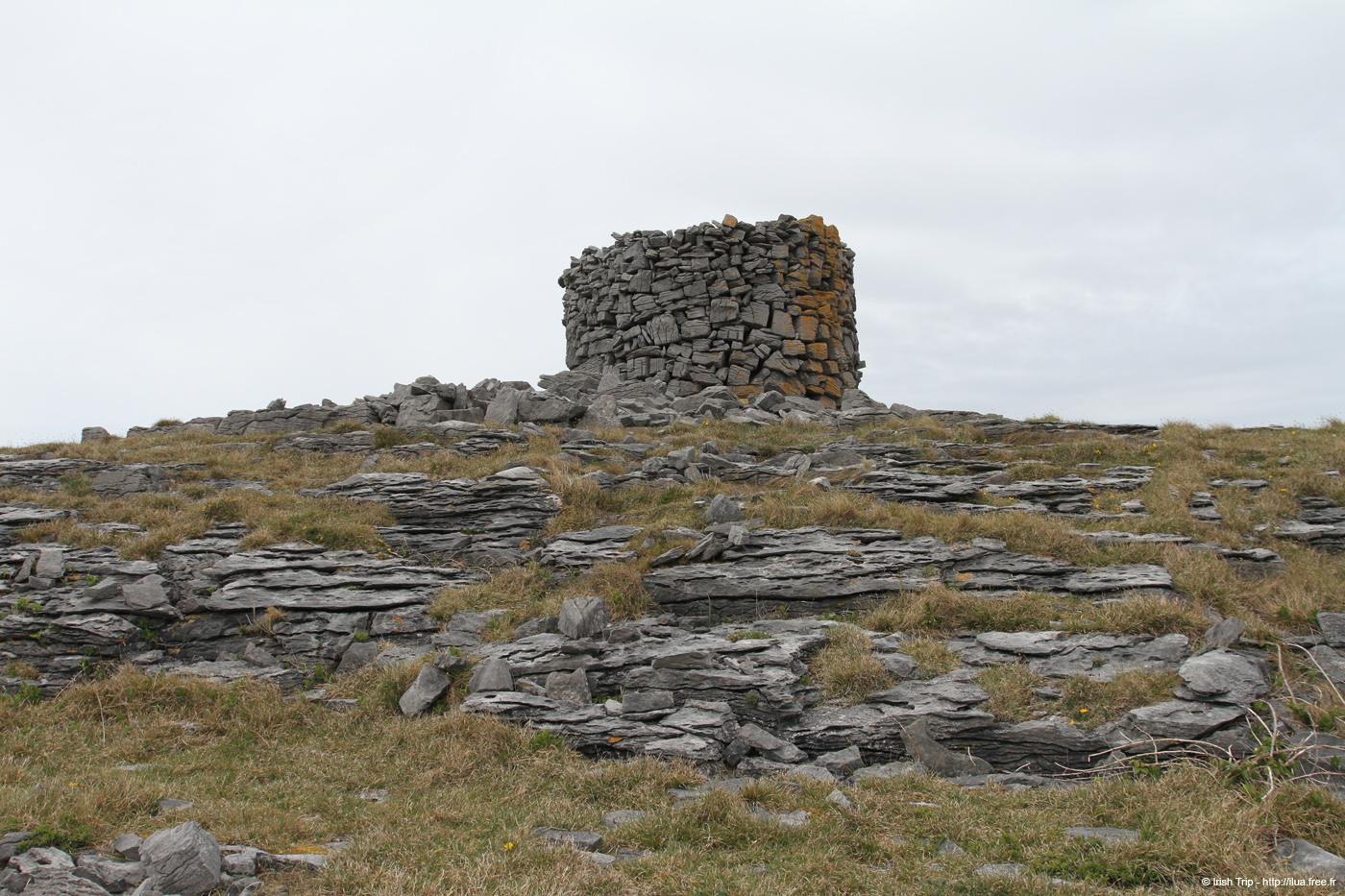20120509_aranturmairtin04