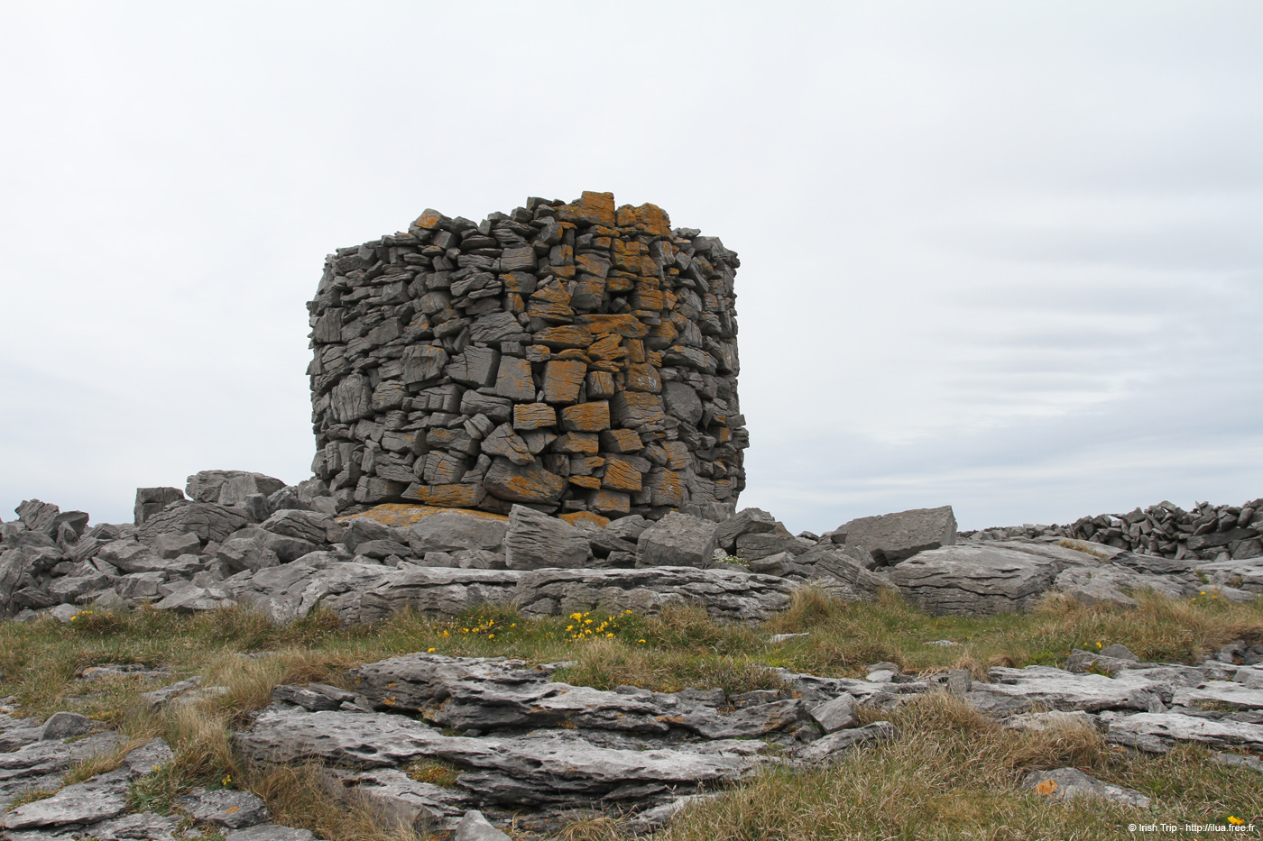 20120509_aranturmairtin05