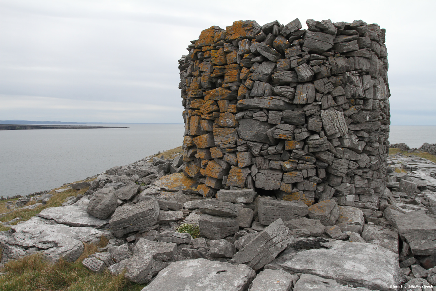20120509_aranturmairtin06