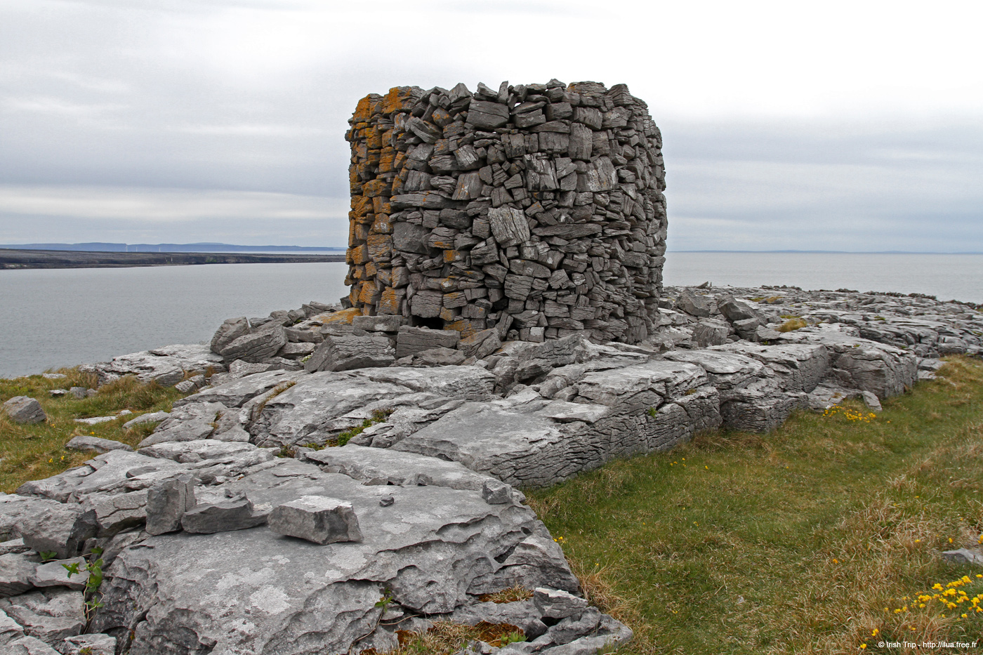 20120509_aranturmairtin07