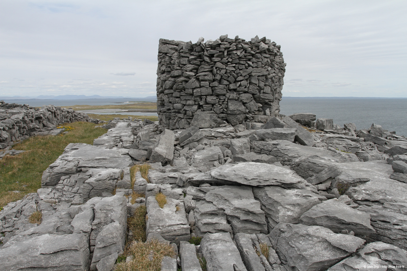 20120509_aranturmairtin08