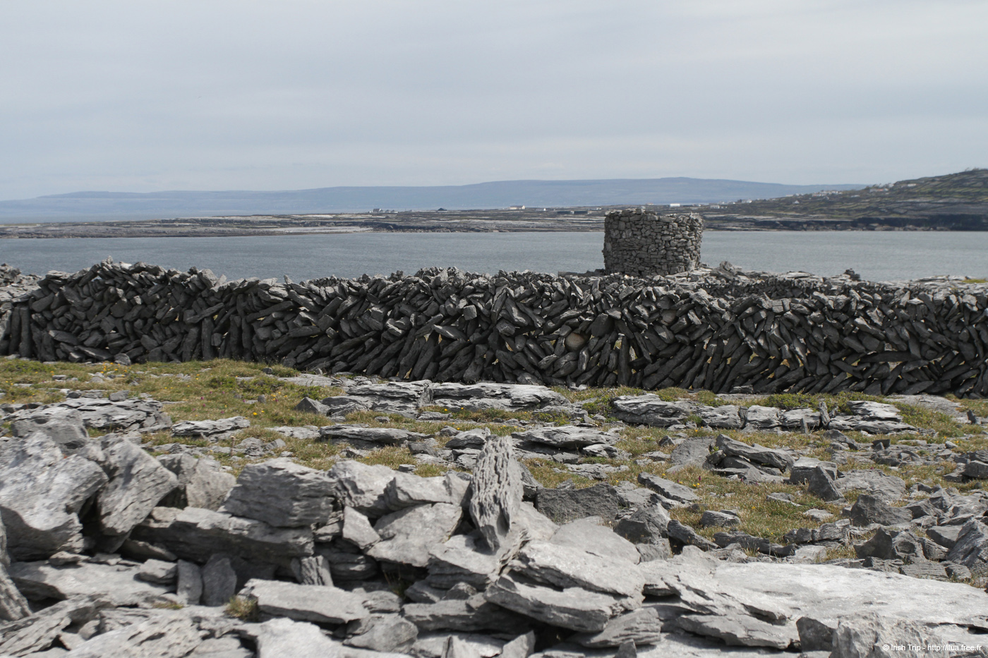 20120509_aranturmairtin09