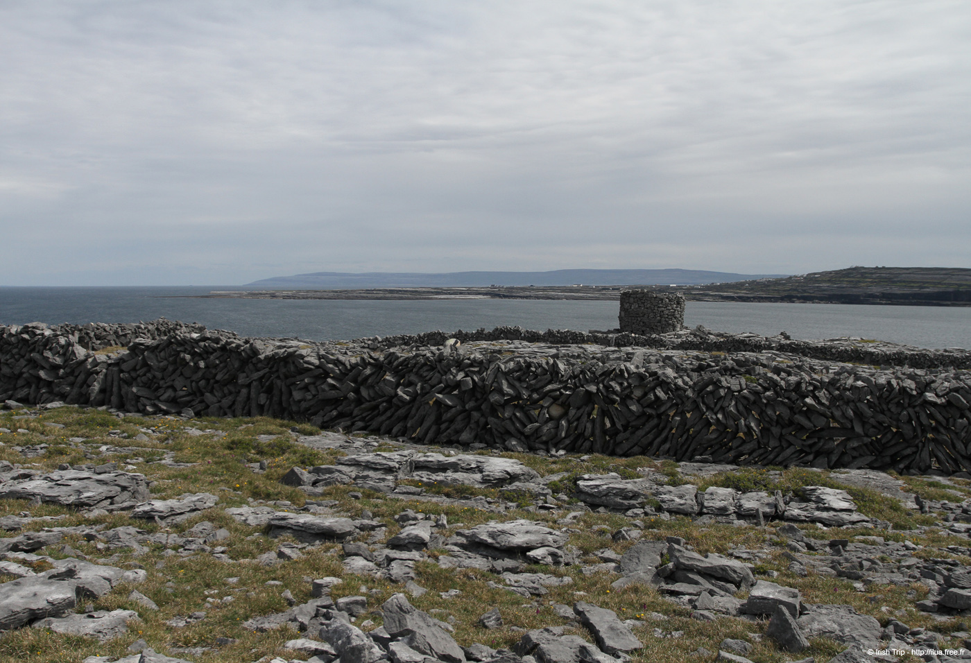 20120509_aranturmairtin10