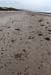 20120504_brittasbay06