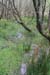 20120504_glendalough_glenealoriver5
