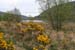 20120504_glendalough_lowerlake1