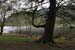 20120504_glendalough_lowerlake3