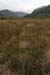 20120504_glendalough_lowerlakevalley1