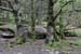 20120504_glendalough_park01