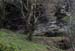 20120504_glendalough_park04