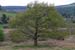 20120504_glendalough_park05